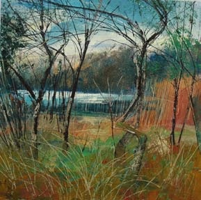 Neal Greig - Tynan Lake